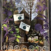 Window   at The Soulsister in Amsterdam