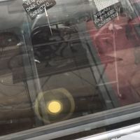 Vegan dark chocolate sorbetto & vegan raspberry sorbetto 🍧  at Strelitzia in East London