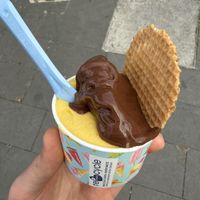   at Gelateria del Viale in Rome