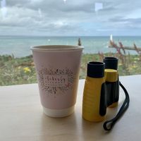   at The Liberty Kitchen in Banchory