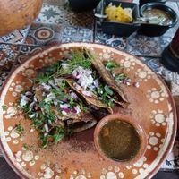 Taquitos de birria vegana 🌱   at Quelite in Coatepec