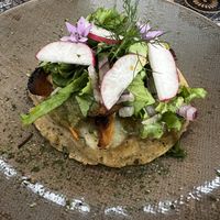   at Quelite in Coatepec