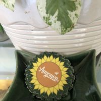 🌻💚  at Anyone's Cafe & Bakery in Rochester