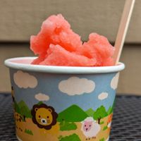 watermelon Italian ice at Great American Video & Espresso in Milwaukie