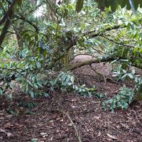 Grounds at World Peace Cafe in Northampton