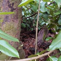 Grounds at World Peace Cafe in Northampton