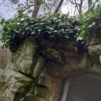 Grounds at World Peace Cafe in Northampton