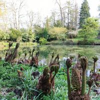 The lake in the grounds at World Peace Cafe in Northampton