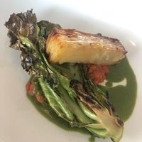 Braised hispi at Six in Gateshead