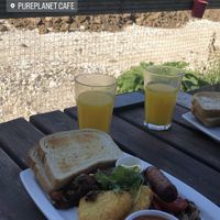   at Pureplanet Cafe & Shop in Rochester