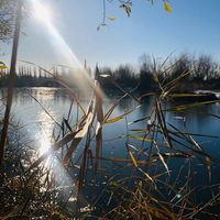  at Pureplanet Cafe & Shop in Rochester