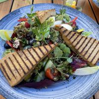 Vital-Salat zzgl. Tofu  at Restaurant Tilia in Bad Schandau