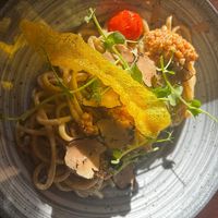 Leckere Trüffelnudeln at Restaurant Tilia in Bad Schandau