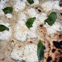 Luna  at Project Nova Pizza Company in Apopka