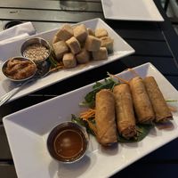 Spring rolls and fried tofu   at Thai Bella in Moab