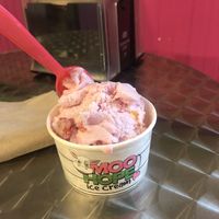 Strawberry flavoured vegan ice cream (1 scoop)   at Moo Hope Ice Cream in New Hope