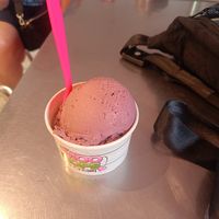  at Moo Hope Ice Cream in New Hope