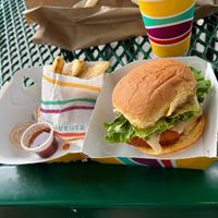 Spicy chicken small meal deal  at PLNT Burger in Boston