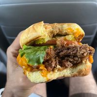 Dbl Plnt Burger at PLNT Burger in Boston