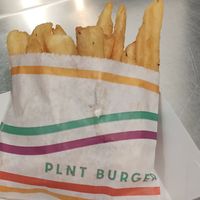 Crispy herb fries 1 #Veganuary at PLNT Burger in Boston