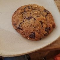 Cookie at Beaten by a Whisker in London