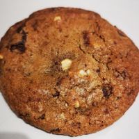 Cookie at Beaten by a Whisker in London