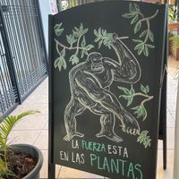  at Coral Vegan Pizza in Playa Del Carmen