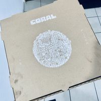   at Coral Vegan Pizza in Playa Del Carmen