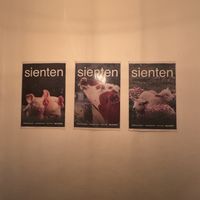   at Coral Vegan Pizza in Playa Del Carmen