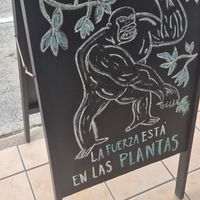  at Coral Vegan Pizza in Playa Del Carmen