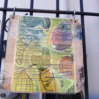  at Viriditas Cocina Vegana in Oaxaca