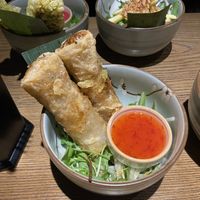 Springrolls 🫔  at Zen Chay 2  in Cologne