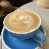 Café con leche avana ☕️  at Malila Coffee in Valencia