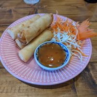 Vegan spring rolls at Taste of Thailand in Sheffield