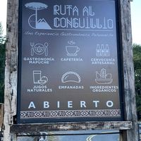 on the road at Ruta al Conguillio in Melipeuco