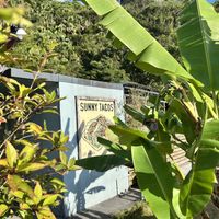   at Sunny Tacos in Okinawa