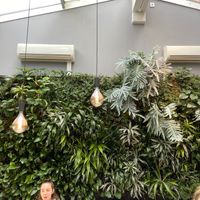 Green Wall  at Salads and Smoothies in Lund