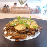  at TERRA in Funchal