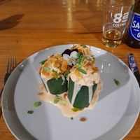  at TERRA in Funchal