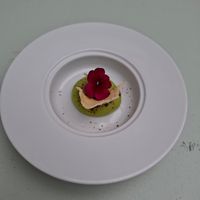  at TERRA in Funchal
