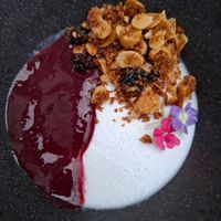  at TERRA in Funchal