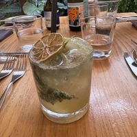   at TERRA in Funchal