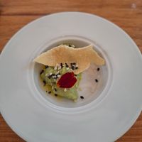  at TERRA in Funchal