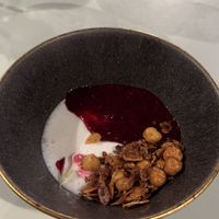   at TERRA in Funchal
