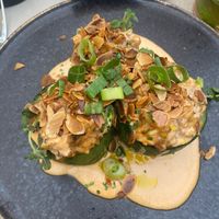 Courgette stuffed with wild rice  at TERRA in Funchal