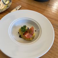   at TERRA in Funchal