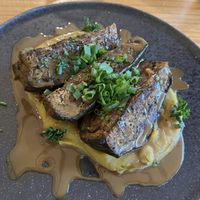   at TERRA in Funchal
