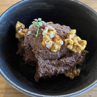   at TERRA in Funchal