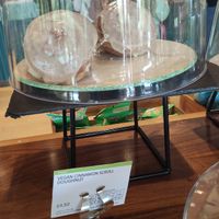 The desserts at St James's Café in London