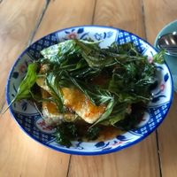 Fried tofu with Thai basil and chili  at Malakor Kitchen and Cafe - ร้านมะละกอ in Ayutthaya
